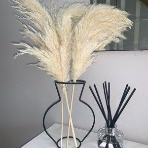 Meet your Posher, Donald